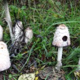 1310F 108 Rhein Main Donau Kanal